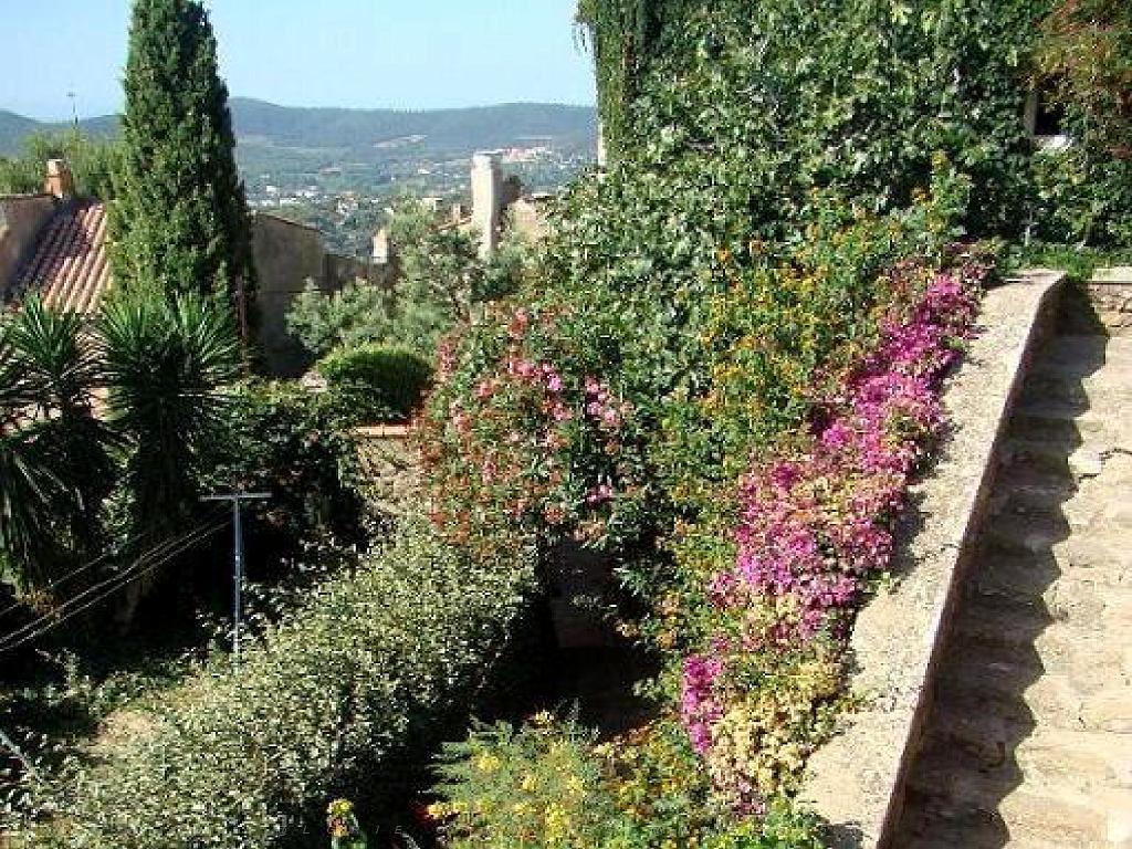 183 D24 BORMES LES MIMOSAS 2_000011.jpg